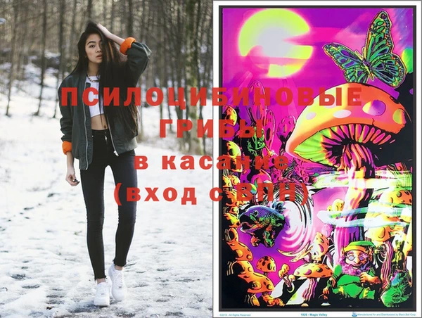 спайс Касимов