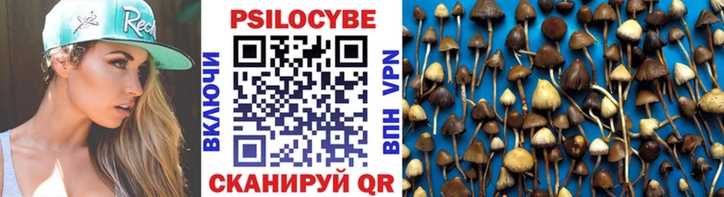 закладки  Богучар  Галлюциногенные грибы прущие грибы 